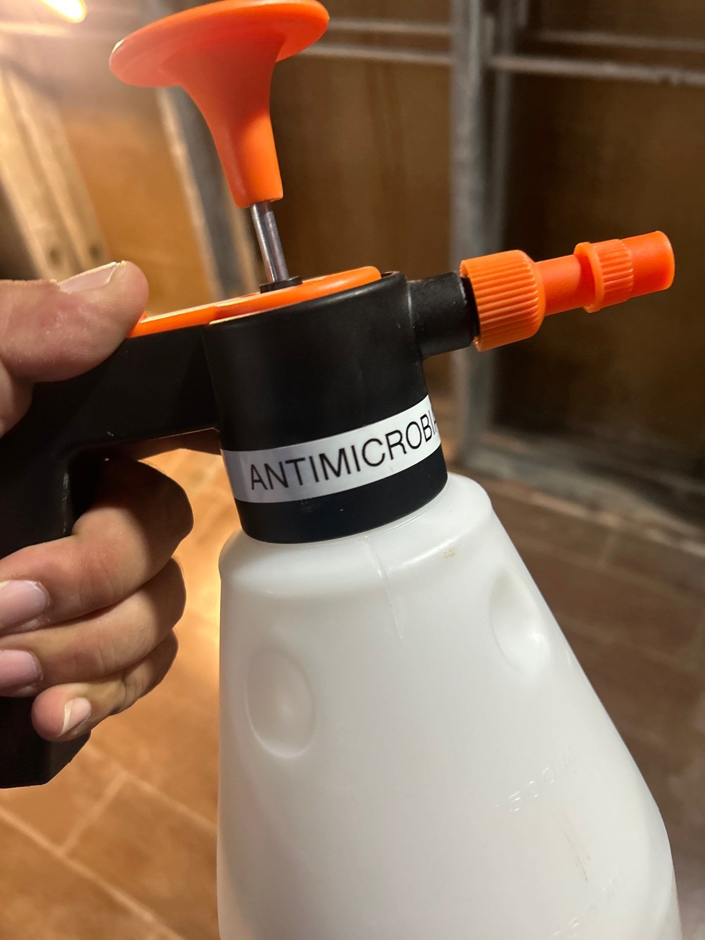 Mold Removal In Clearwater Florida by Ampm Restoration Services