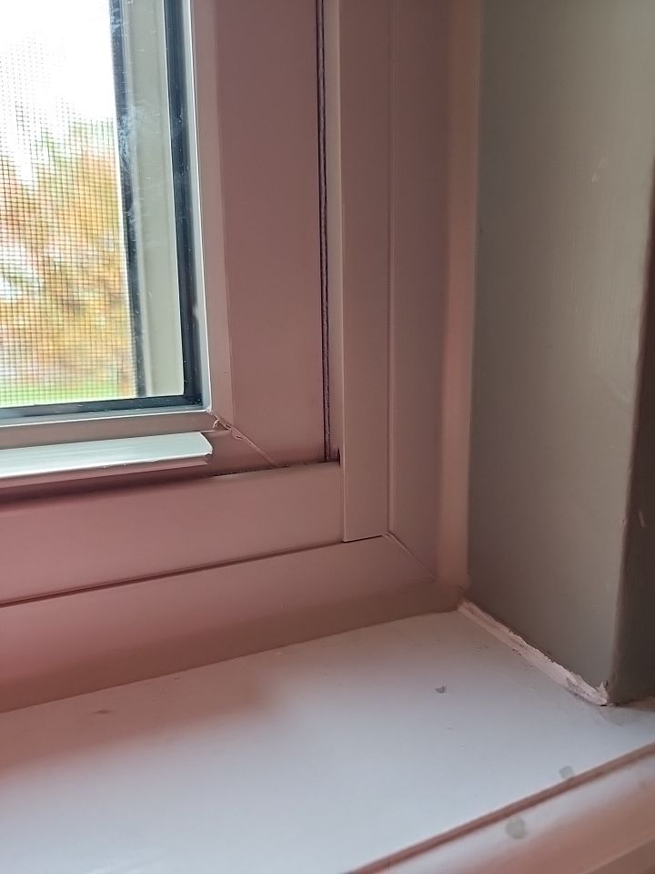 Roof and Windows! by Tamlin Roofing