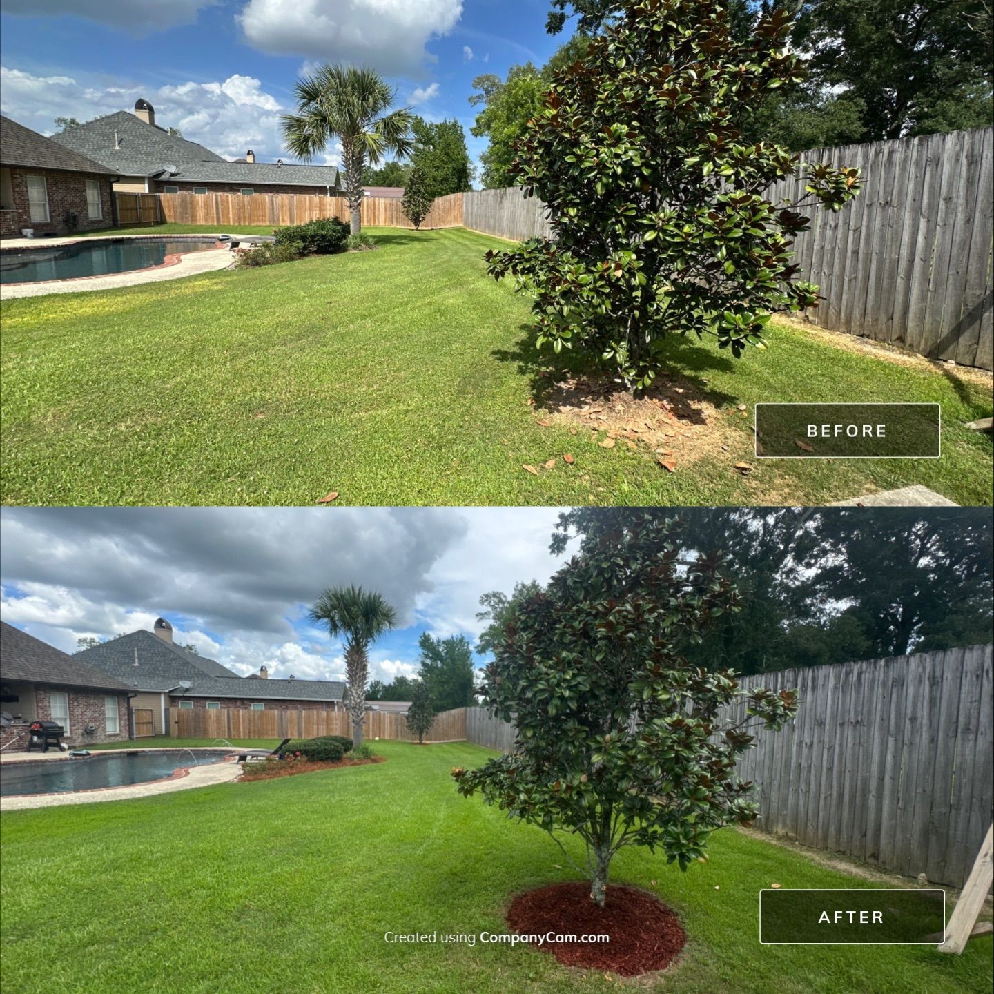 LANDSCAPE SERVICES: LANDSCAPE CLEANUP by CutScape, LLC.