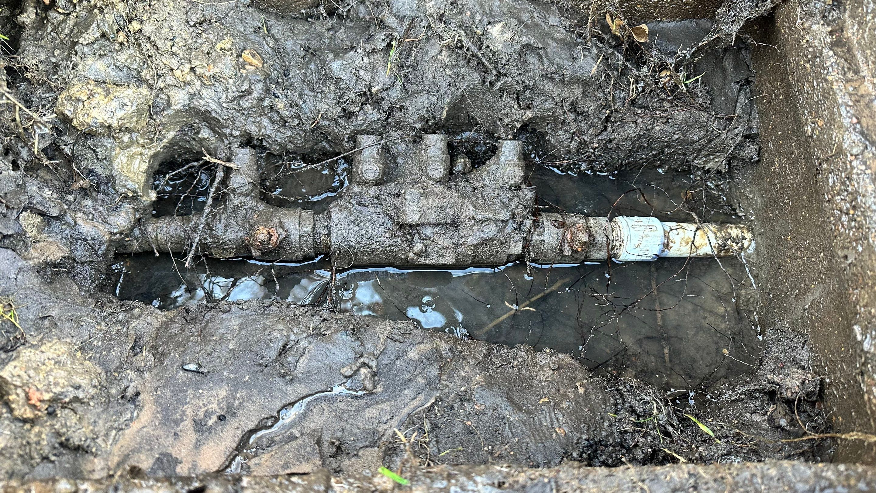 Sprinkler Double Check Repair by Get Stoked Renovations