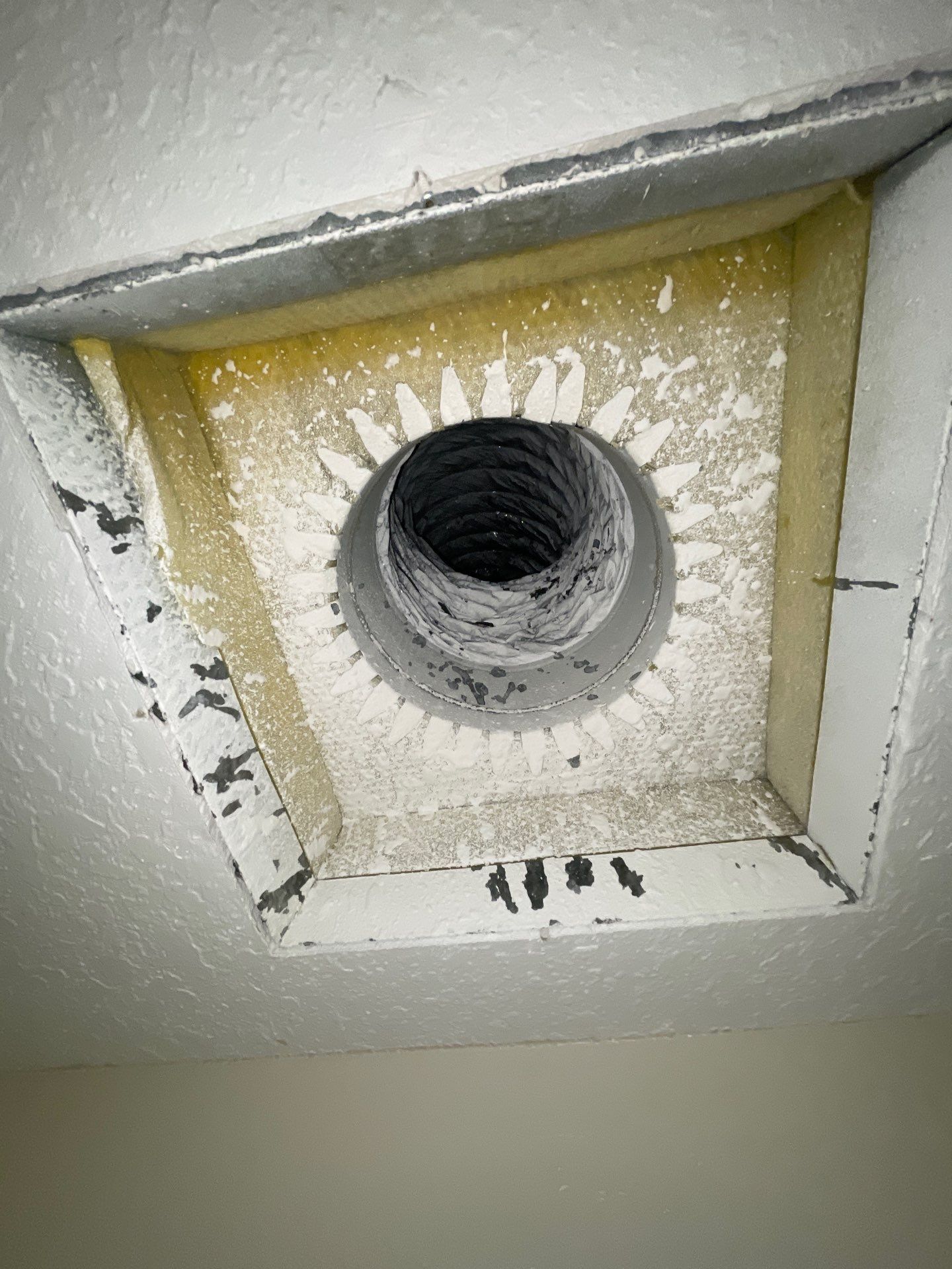 Air Duct Cleaning in Bartow by Hygienic Air, Inc