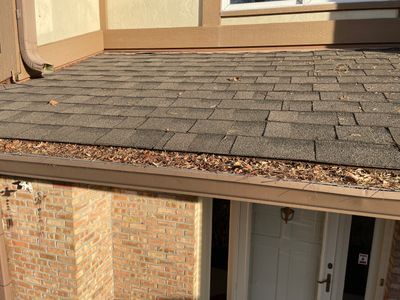 Turtle Shell gutter protection installation in Naperville, IL 60565, photograph 22