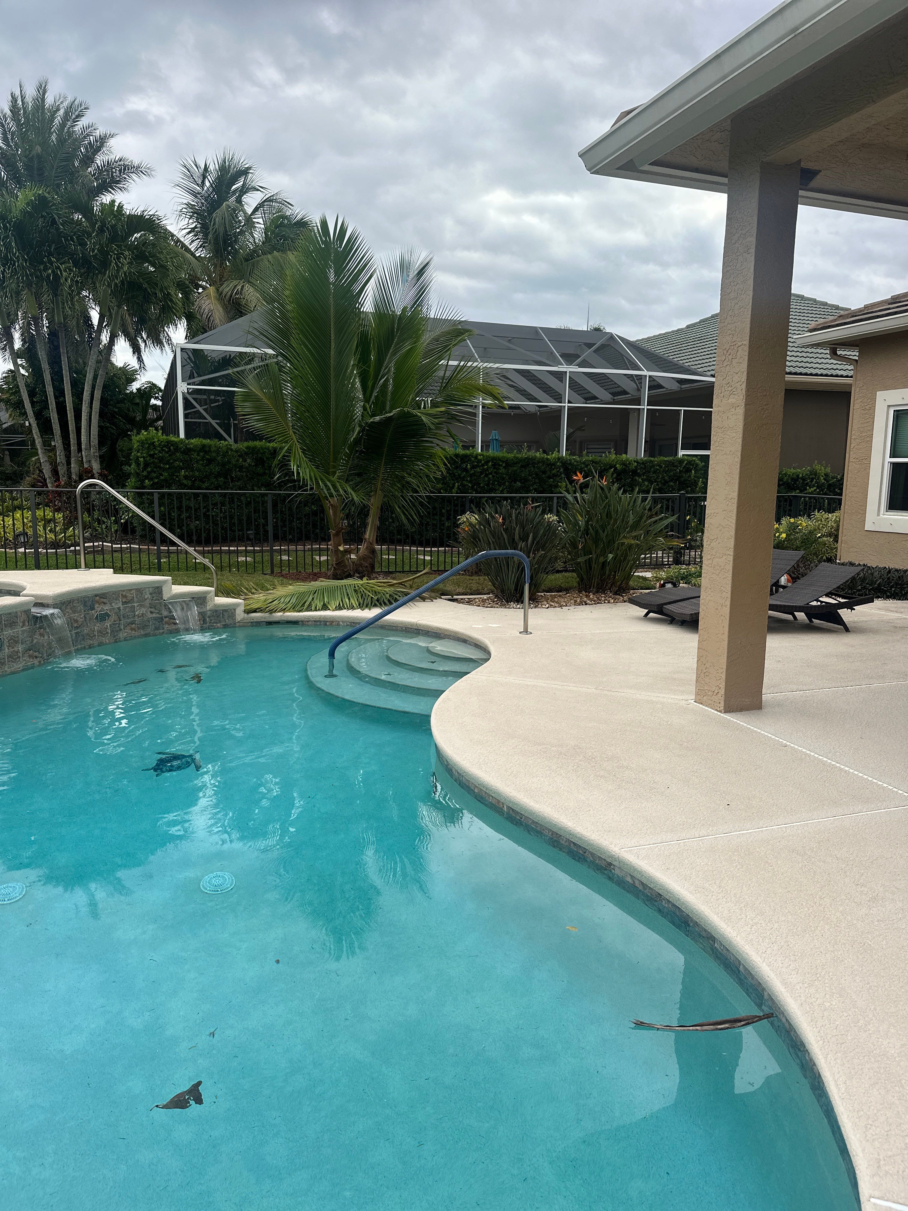 🌴✨ HAMMOCK CREEK SIGNATURE CLEANUP — THE ALPHA ZETA WAY ✨🌴 by Alpha Zeta Enterprises Inc