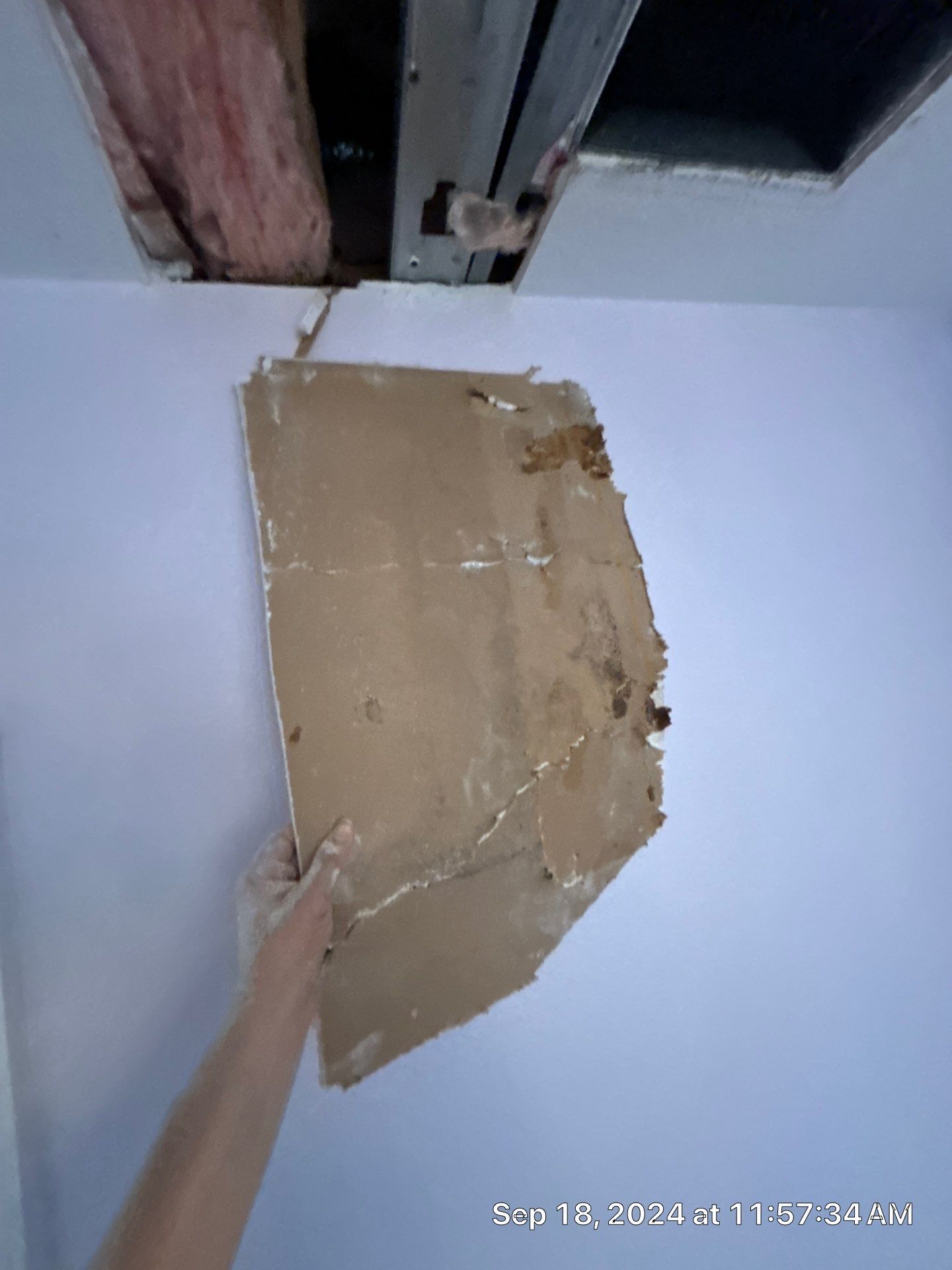 Nokomis Mold Remediation by Ampm Restoration Services