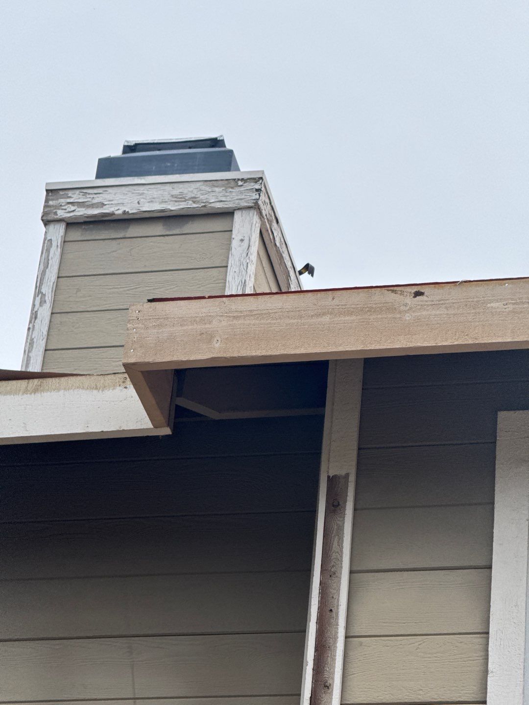 New shingles and gutters using GAF Timberline HDZ shingles and aluminum gutter by Straight Edge Roofing Inc