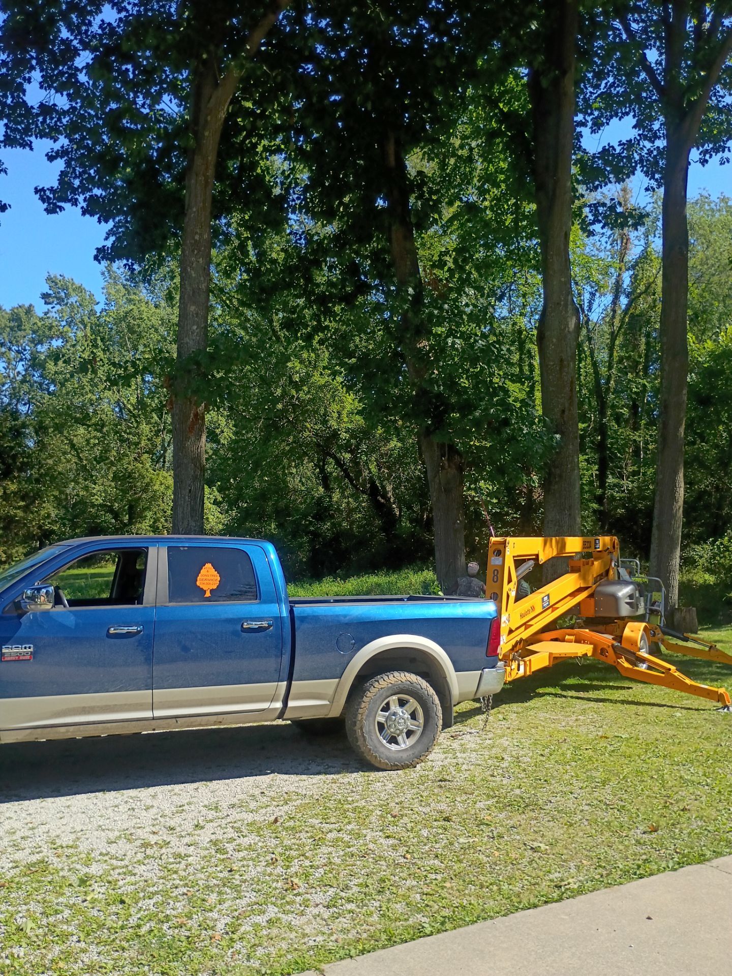 Tree Trimming & Tree Removal in Akron Ohio by Mike Jones & Sons Tree Service LLC 