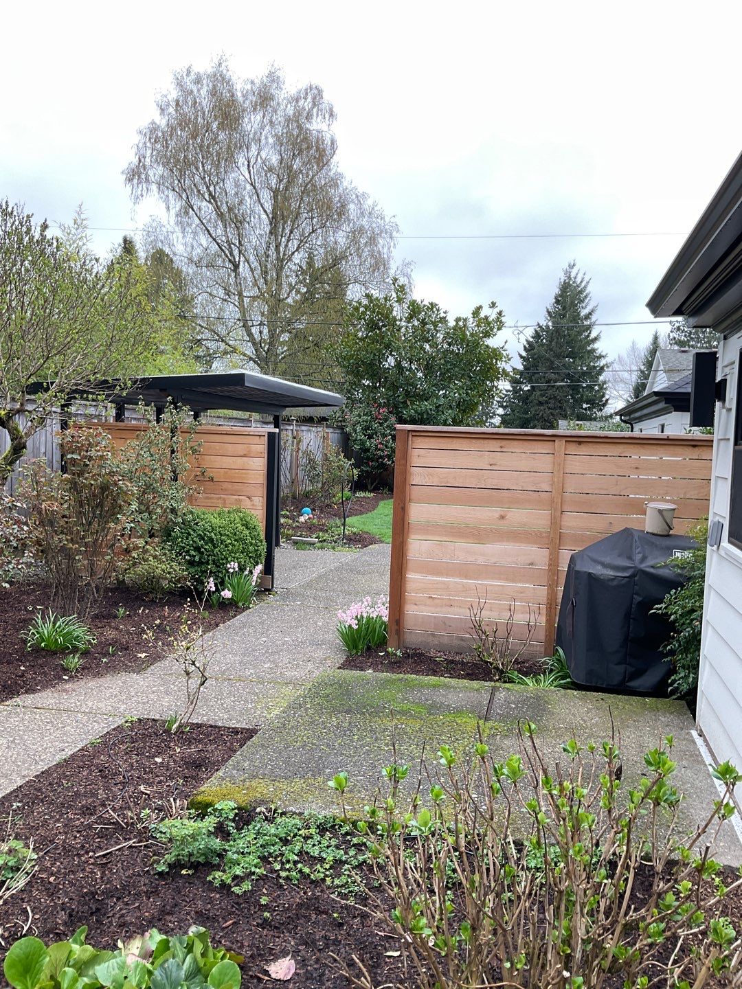 Flat work by Willamette Outdoor Wash LLC