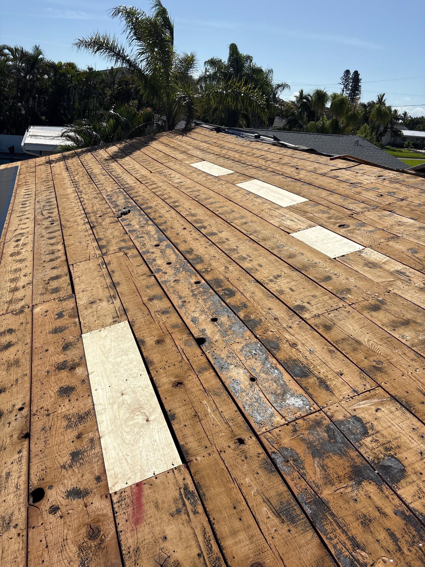 Project in St. Petersburg 33705 by Mitchell Roofing Company LLC 
