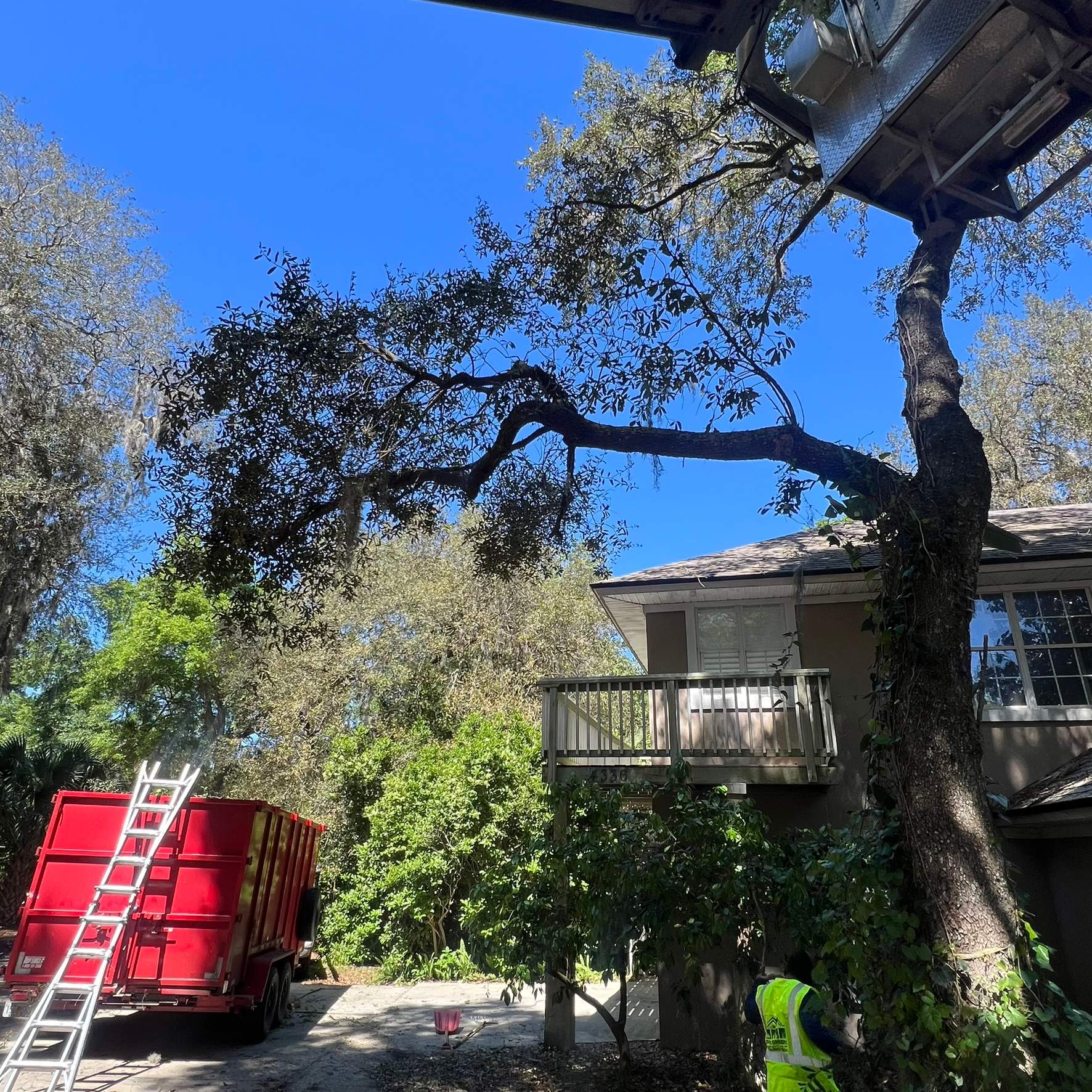 Tree Trimming | Hidden Hills by ProGreen Services
