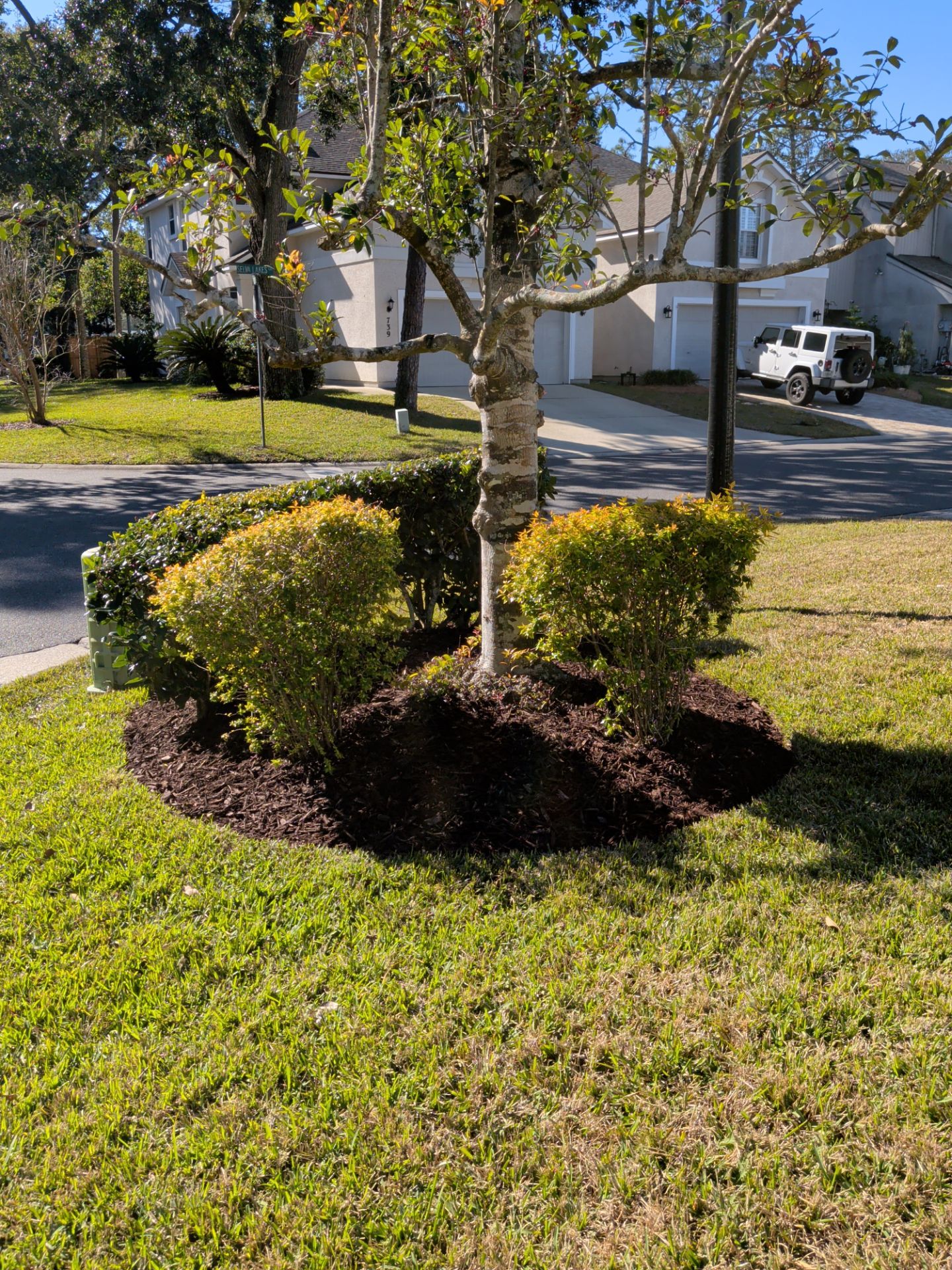 Flower Bed Cleanup & Mulch Preparation — Jacksonville Beach by Harmoni Home Services