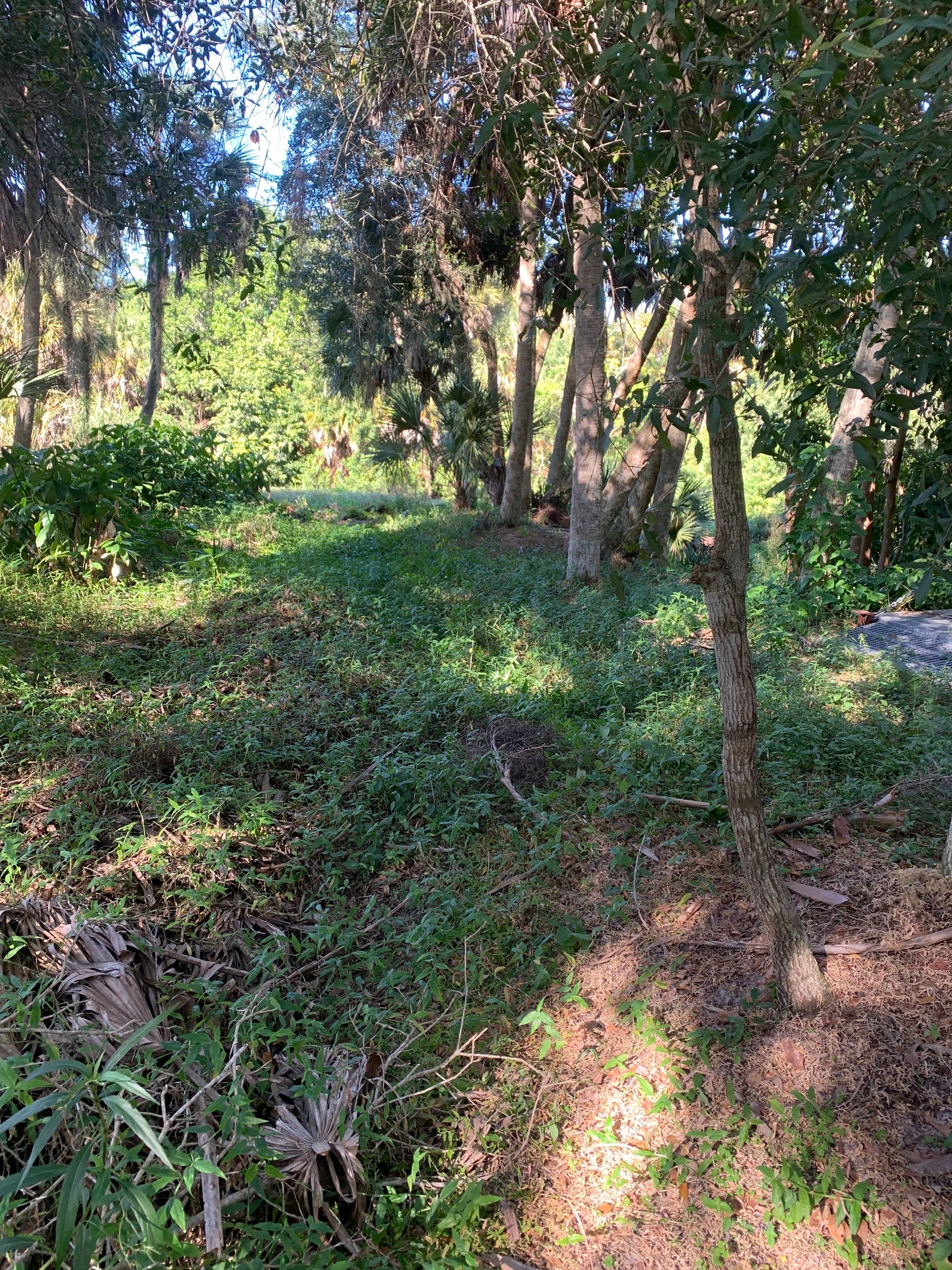 Sarasota, FL 4ft. Tall 3-Rail Aluminum Fence by Asap fence and gates, LLC