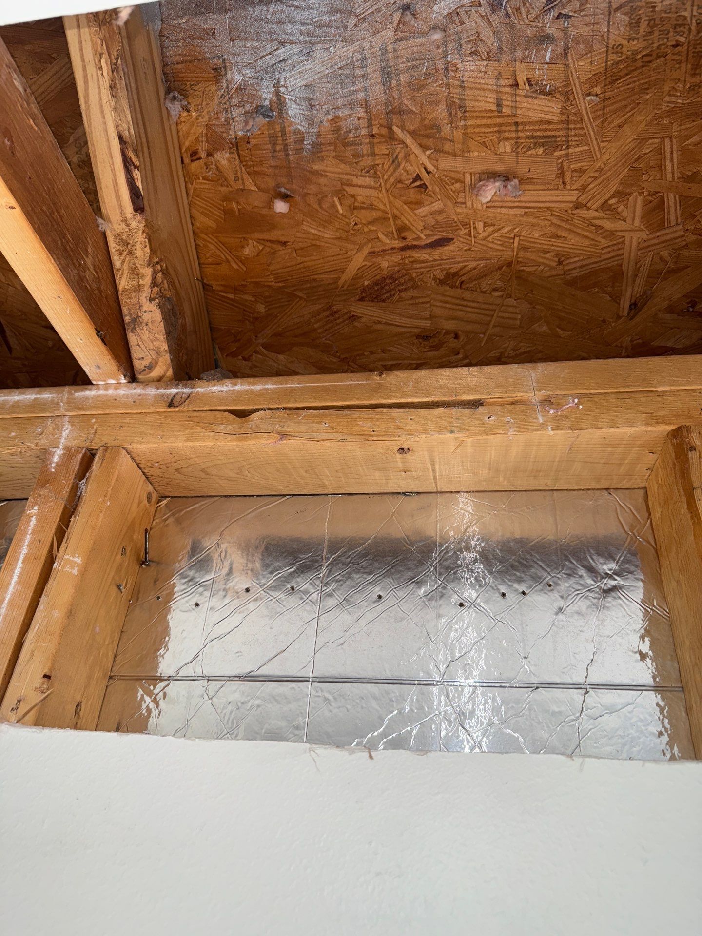 Mold Remediation Job in Richmond by Team Home Solutions