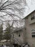 Tree Removal using Tree Removal by Mike Jones & Sons Tree Service LLC 