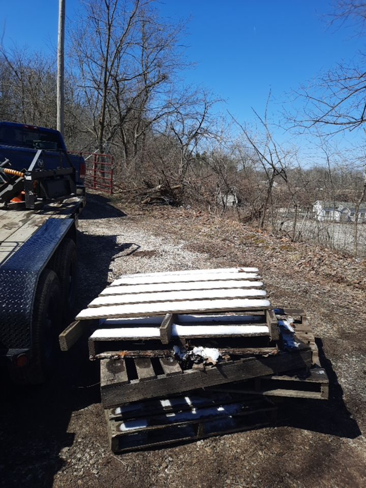 Tree Removal using Tree Removal by Mike Jones & Sons Tree Service LLC 