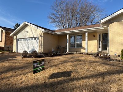 Project in St. Louis