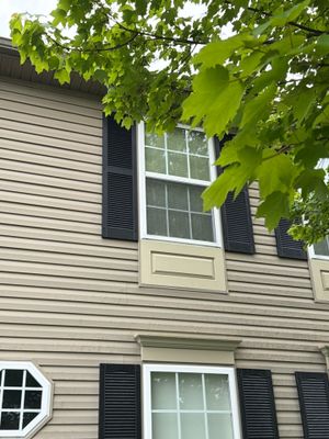 Window & Shutter Repairs