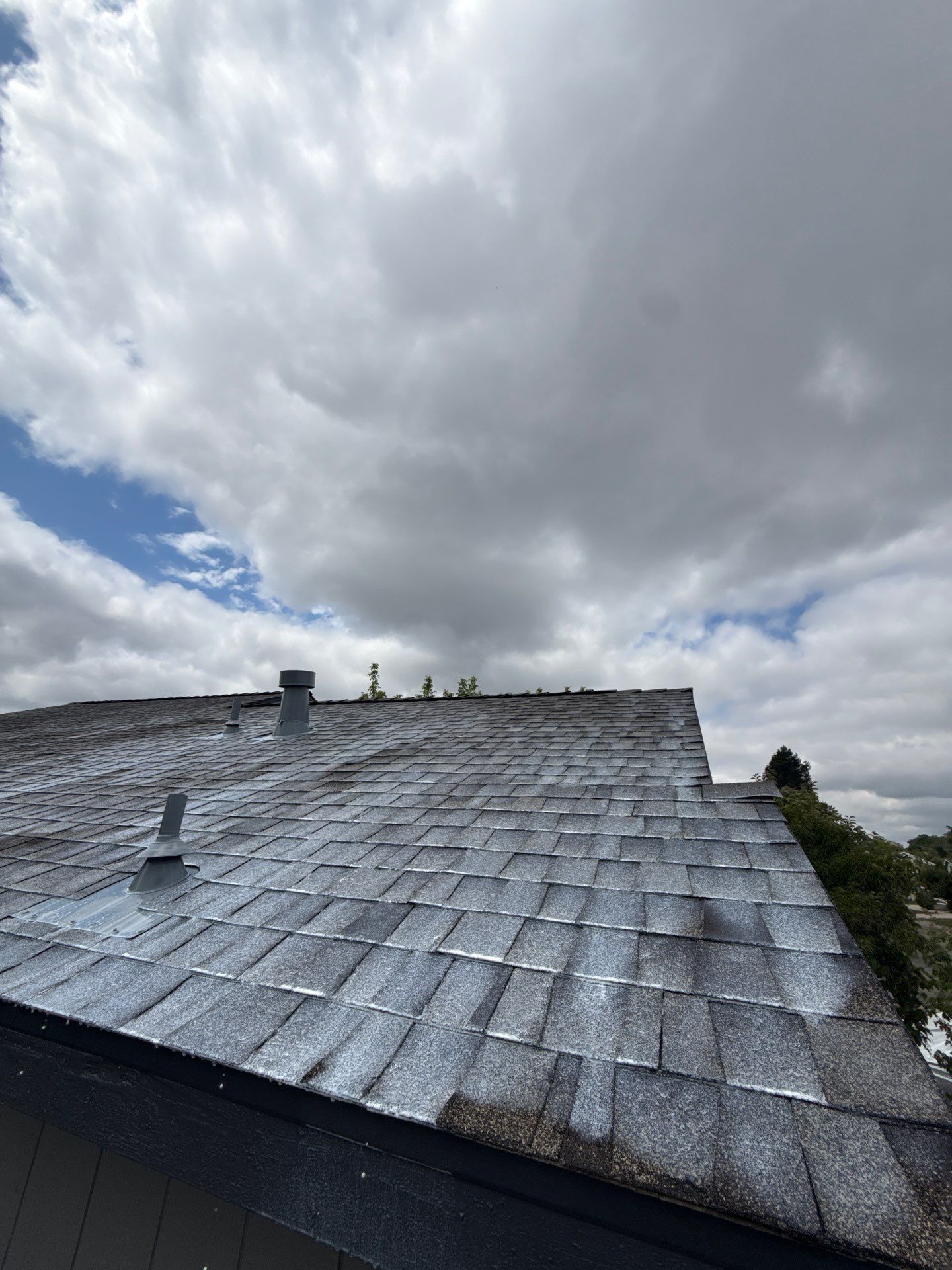 Roof Rejuvenation using Roof Maxx Treatment by Roof Maxx of Folsom