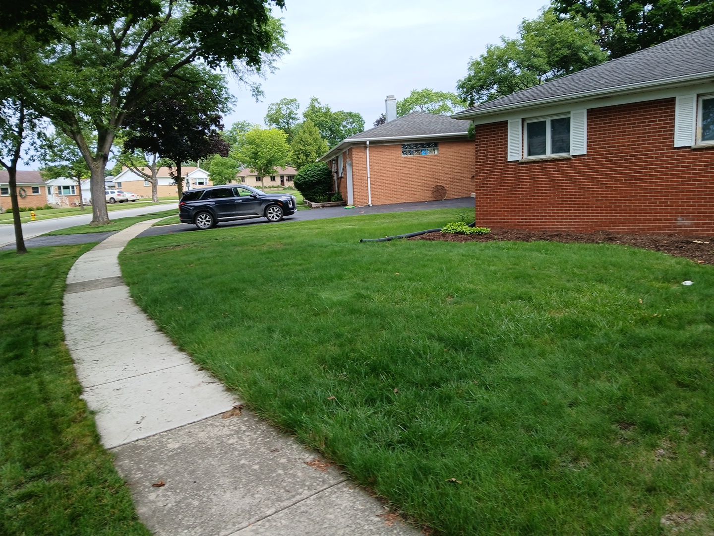 Justin M. - Mount Prospect, IL by A&N 