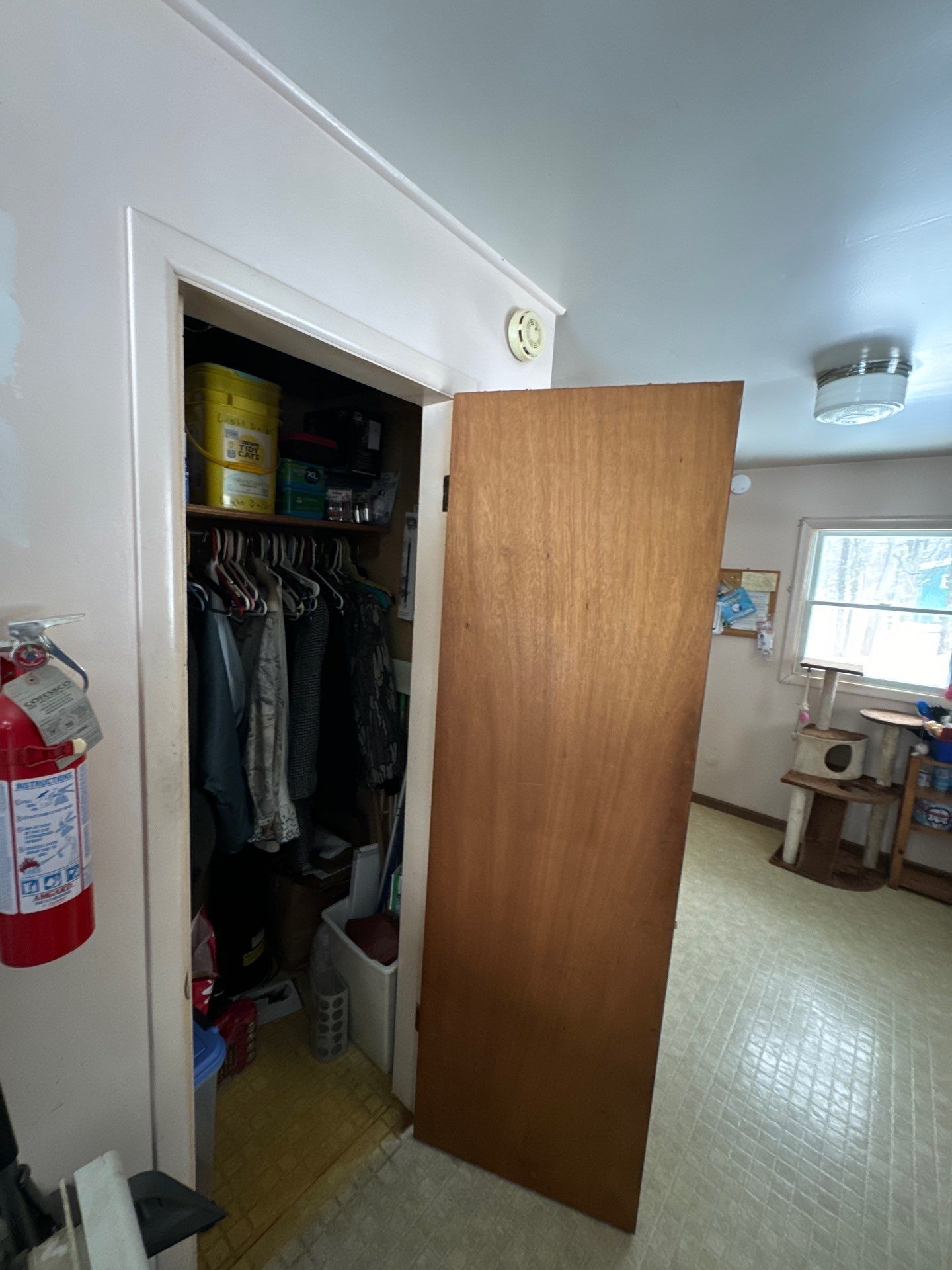 Vibrant Colors by Gordon Painting