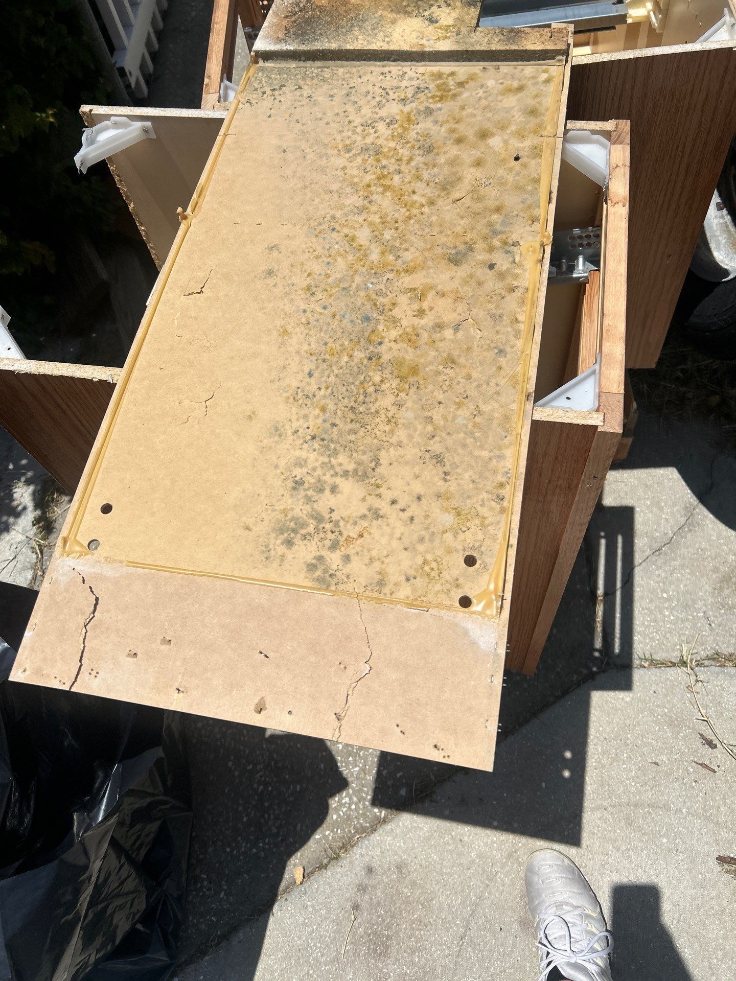 Black Mold Removal In Venice Florida by Ampm Restoration Services