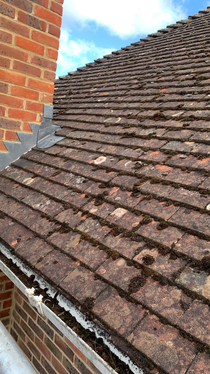 Roof and Patio Cleaning using Honda 15lpm Low Pressure Washing Machine by Ges Exterior Cleaning ltd