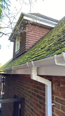 Moss removal and biocide treatment using Moss Scraper Blades