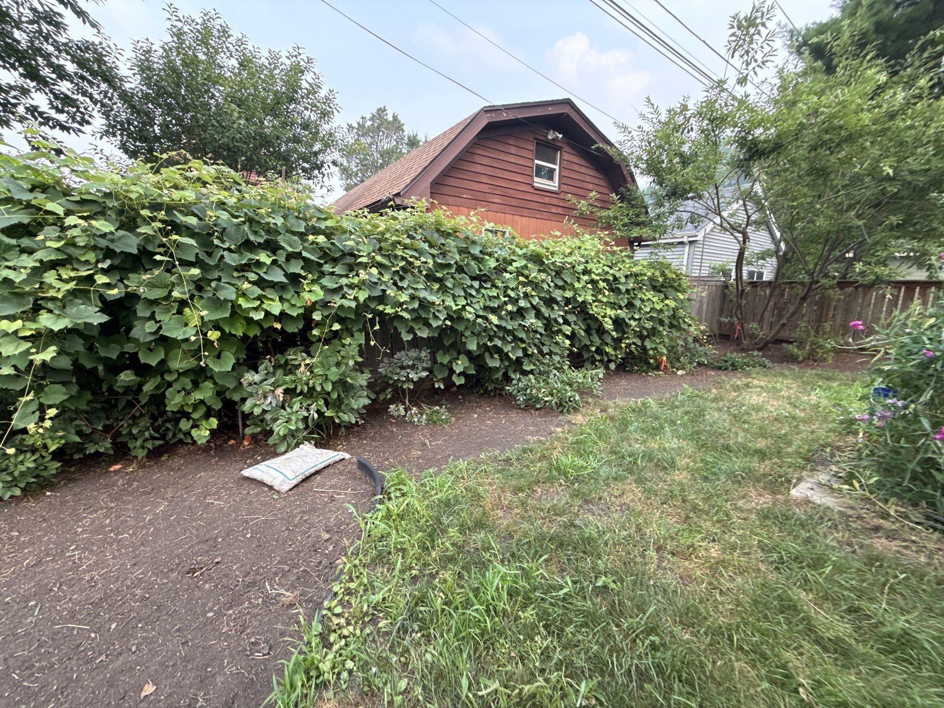 Donna L. - Arlington Heights, IL by A&N
