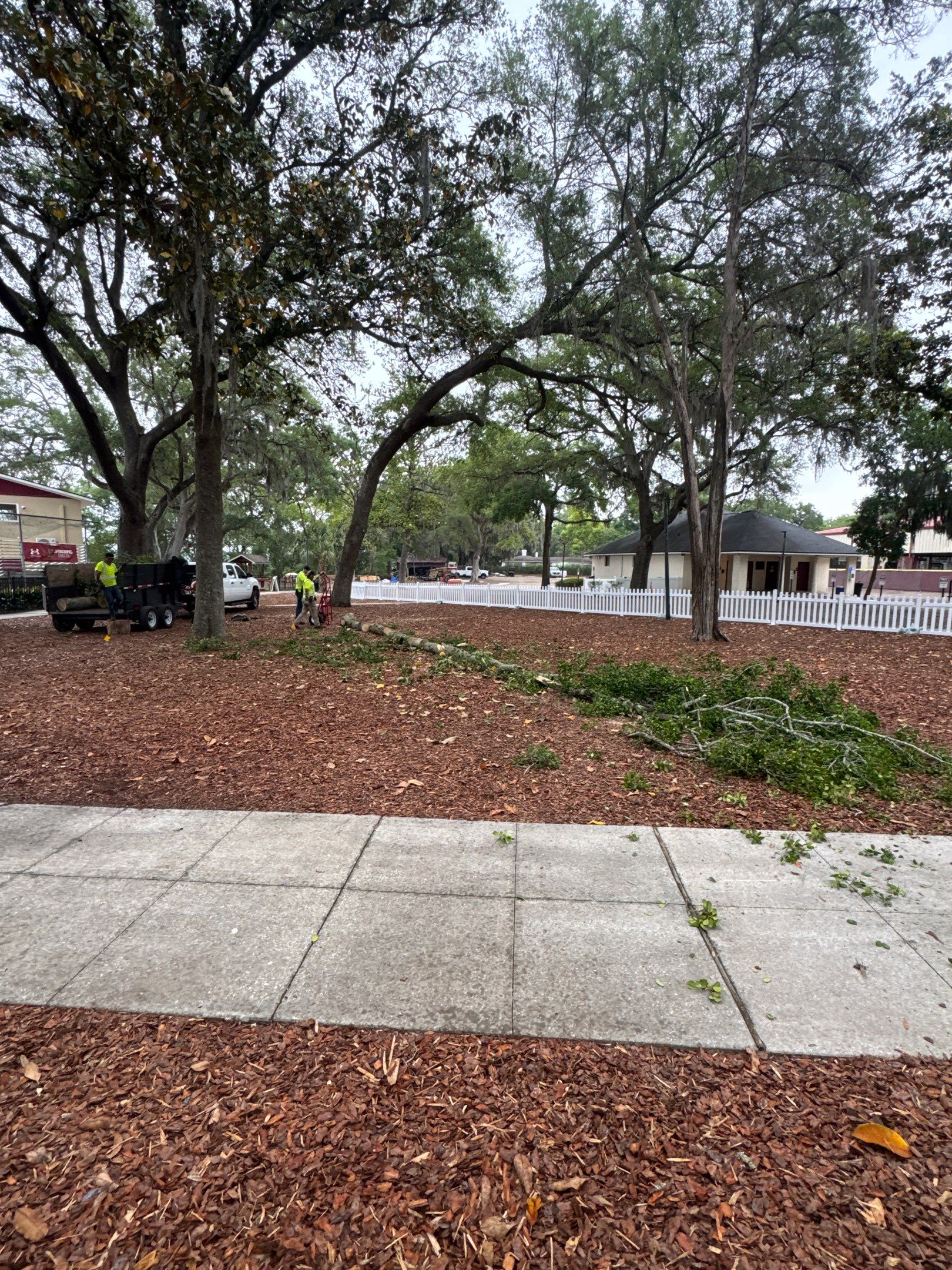 Episcopal School of Jacksonville | Tree Service by ProGreen Services