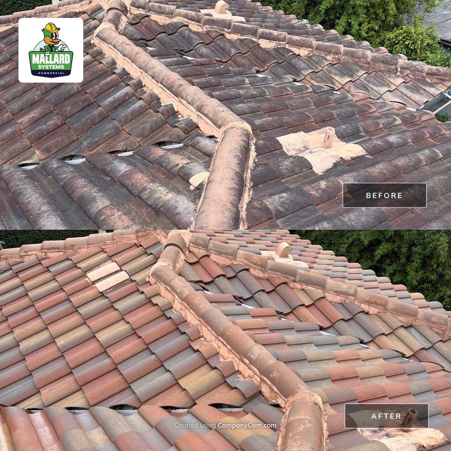 Residential Barrel Tile Roof Cleaning by Mallard Systems