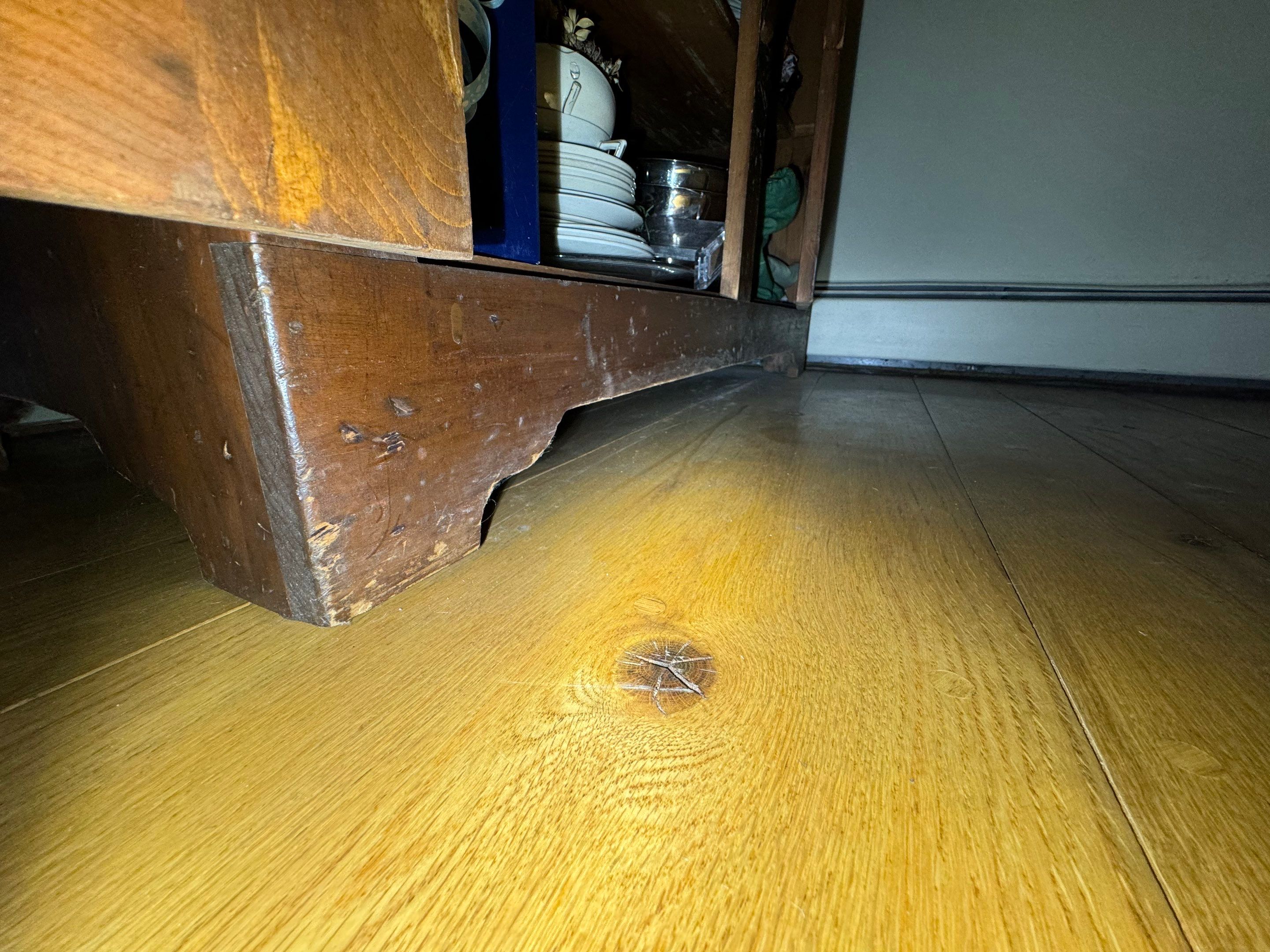 Entire Home Remediation by Home Guarantee, LLC