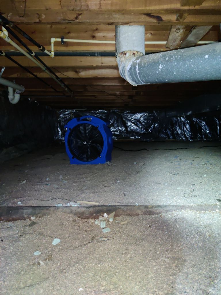 Crawl Space Cleanup  by Accountable Home Services