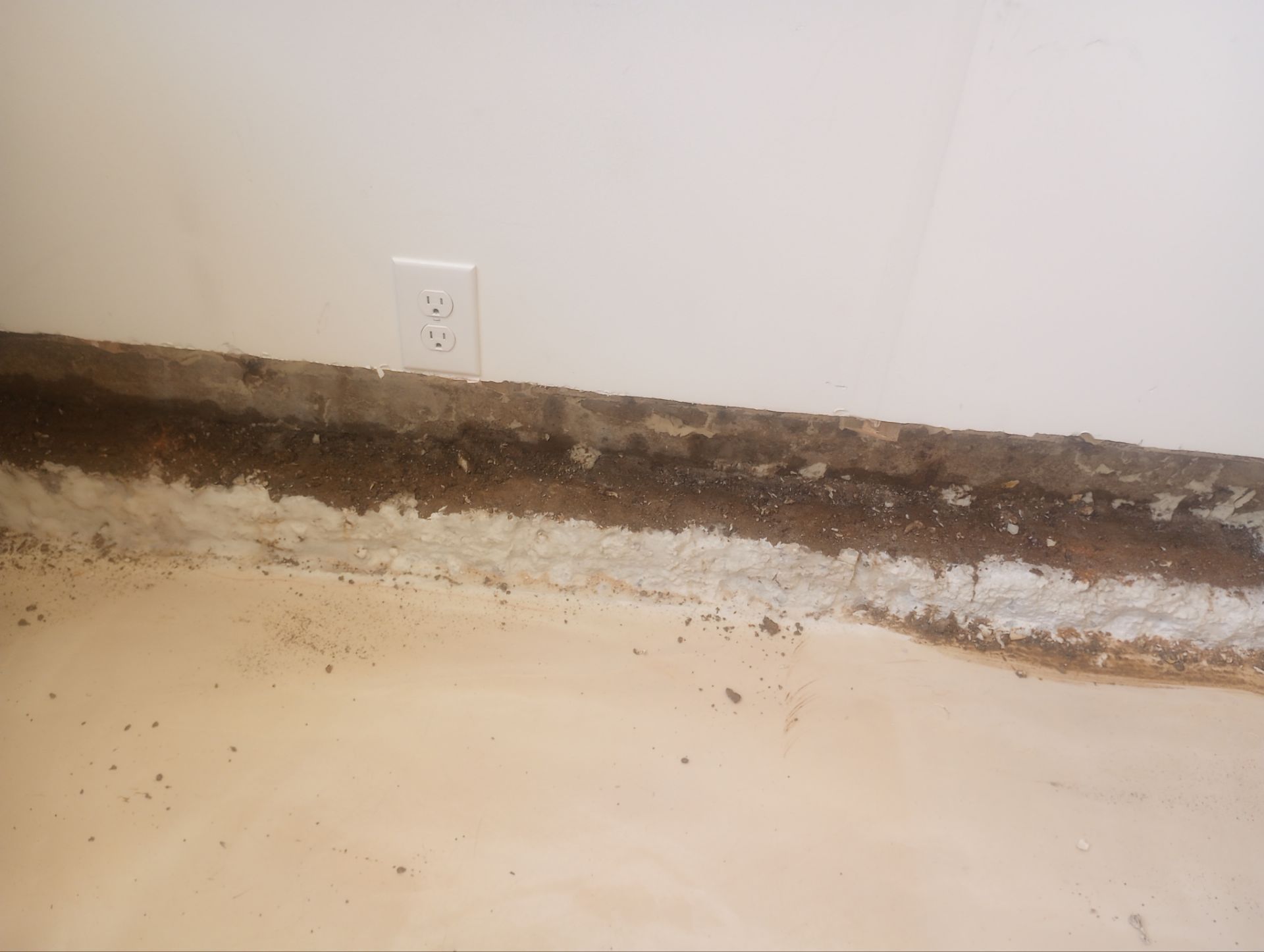 Fixing a Persistent Leak for Dustin in New Brighton by Waterproofing Northeast