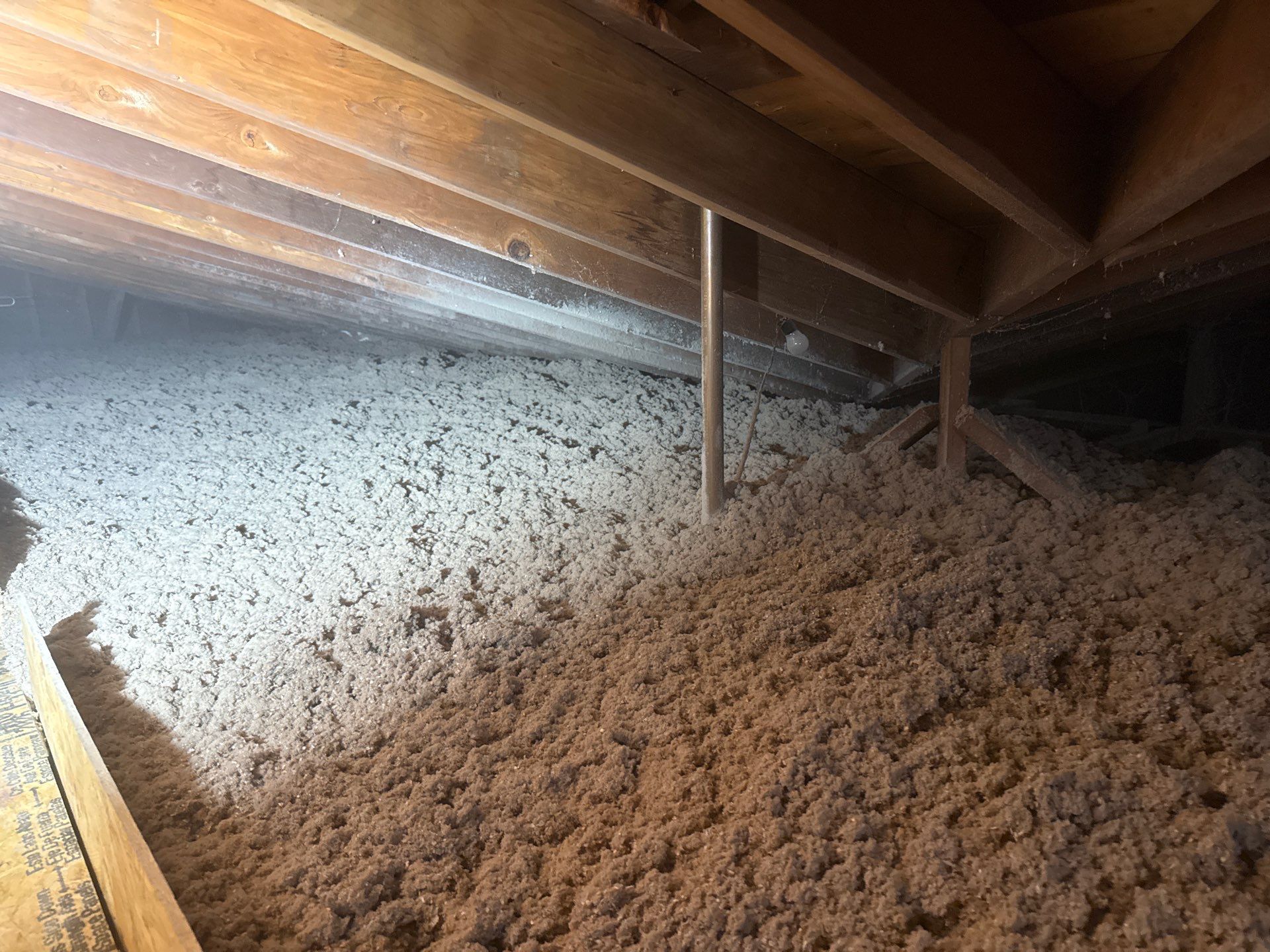 Blown-In Attic Insulation and Rodent Remediation in Canonsburg by Home Environment Solutions