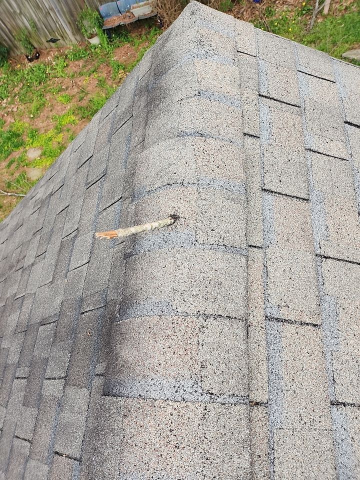 When a Tree Falls on your Roof!  by Georgia Roof Advisors
