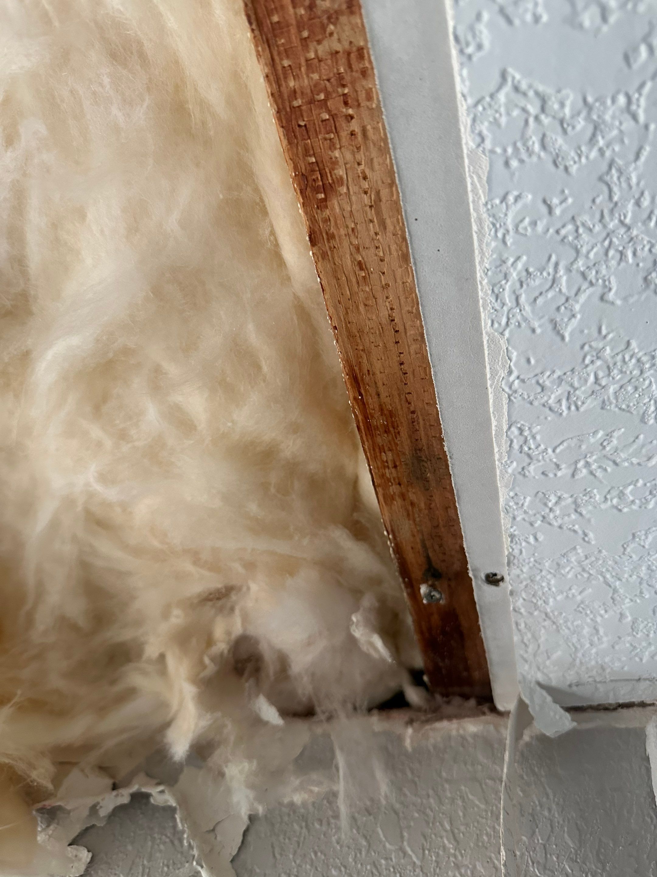 Mold Remediation in Denver, CO by Alpha Restoration 