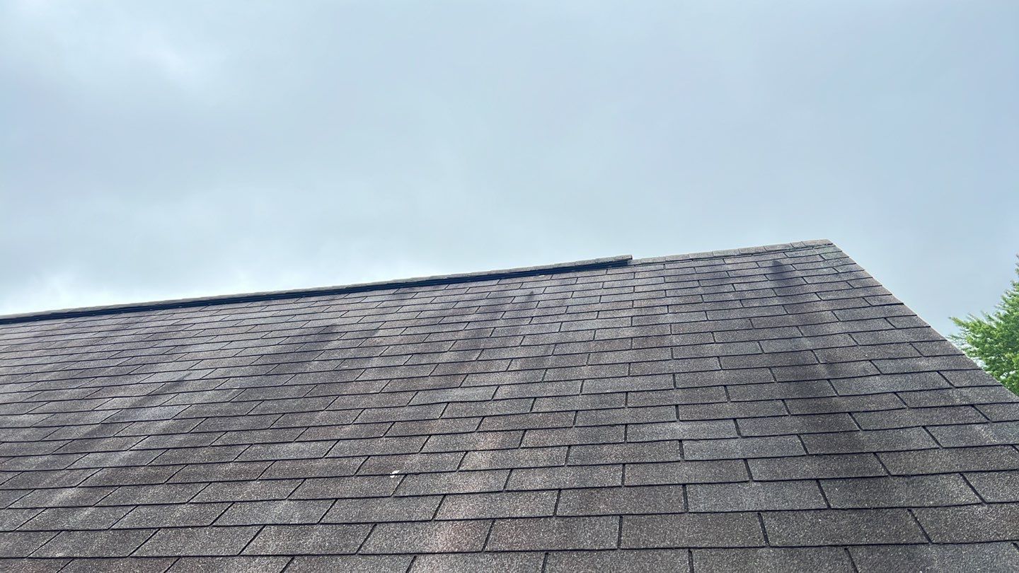 Joe Williamson by Silver Leaf Contracting 