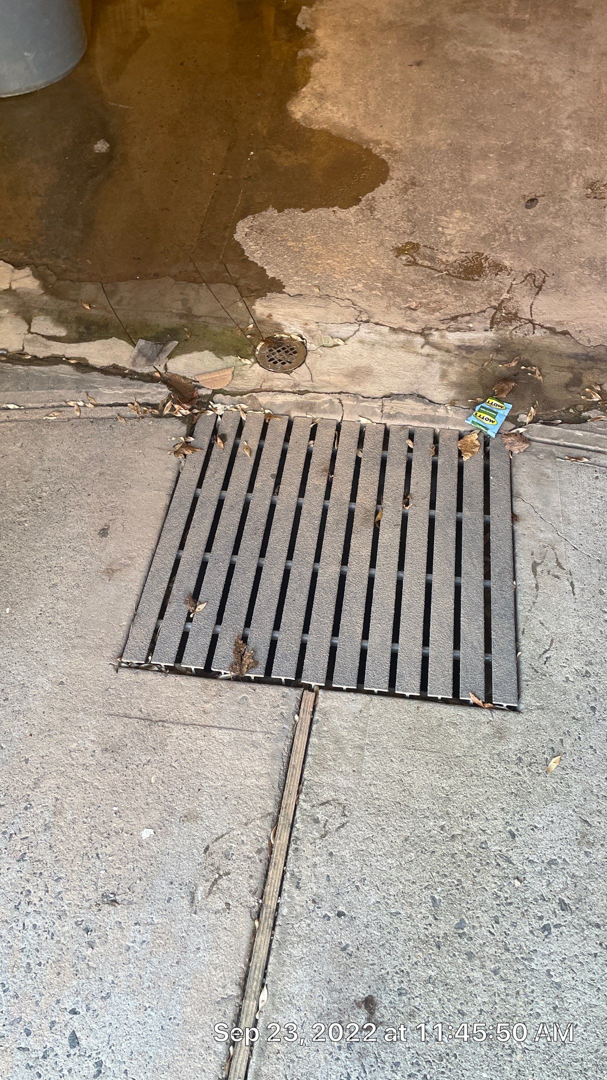 Interior French Drain Job in Bayonne, NJ by Pure Service Pro, LLC 