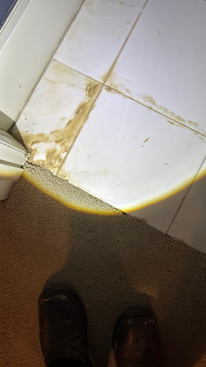 Mold Project in Englewood by Accountable Home Services