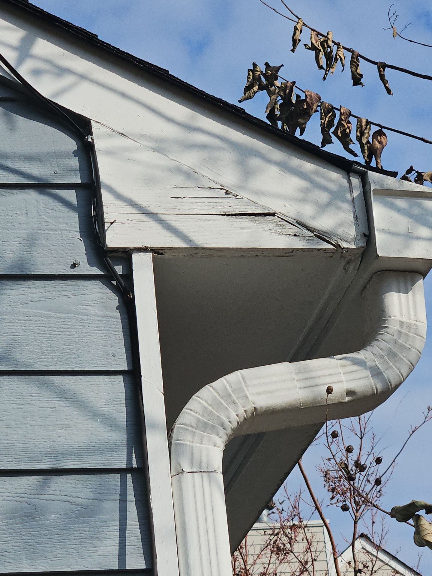 Rotten Wood Replacement using Hardie Trim by Nelson Exteriors 