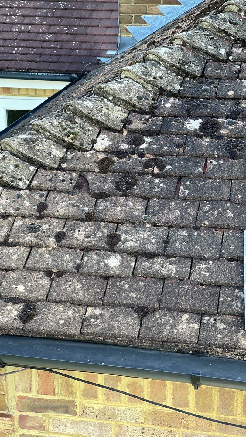 Exterior Clean - Roof - Patio - Driveway using Honda 15lpm Low Pressure Washing Machine by Ges Exterior Cleaning ltd