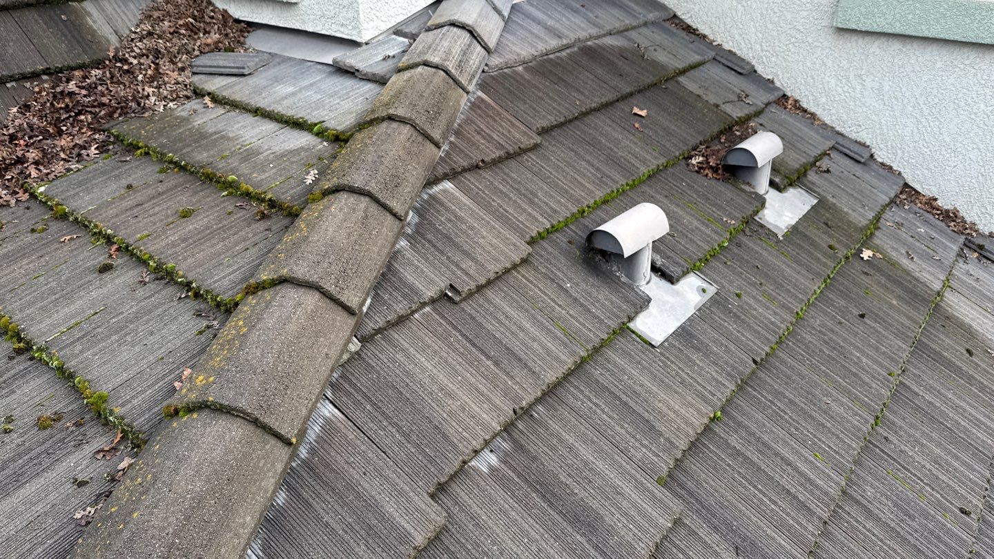 Project by NuLead Construction Inc by NuLead Construction Inc