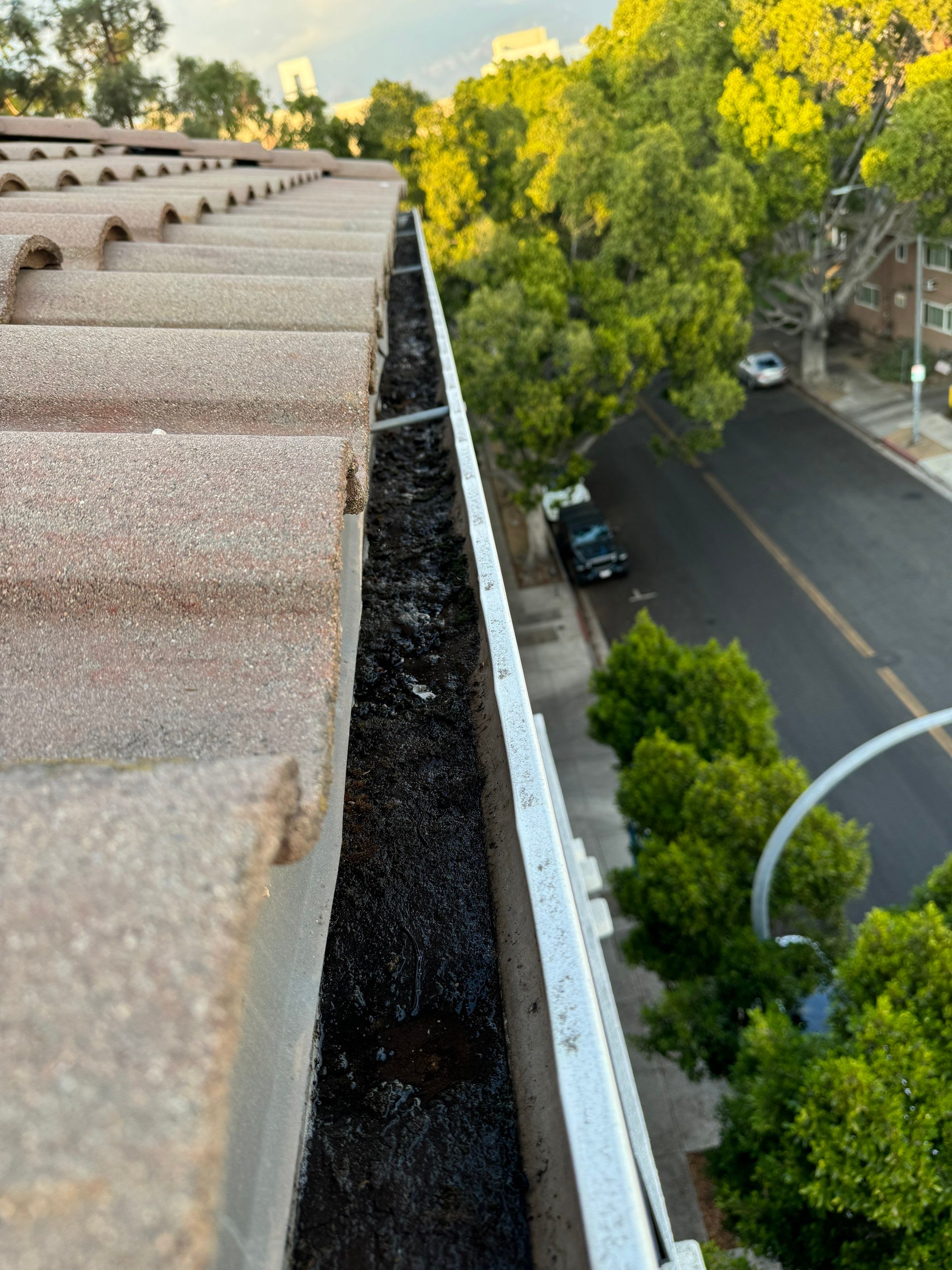 HOA gutter cleaning before photo.