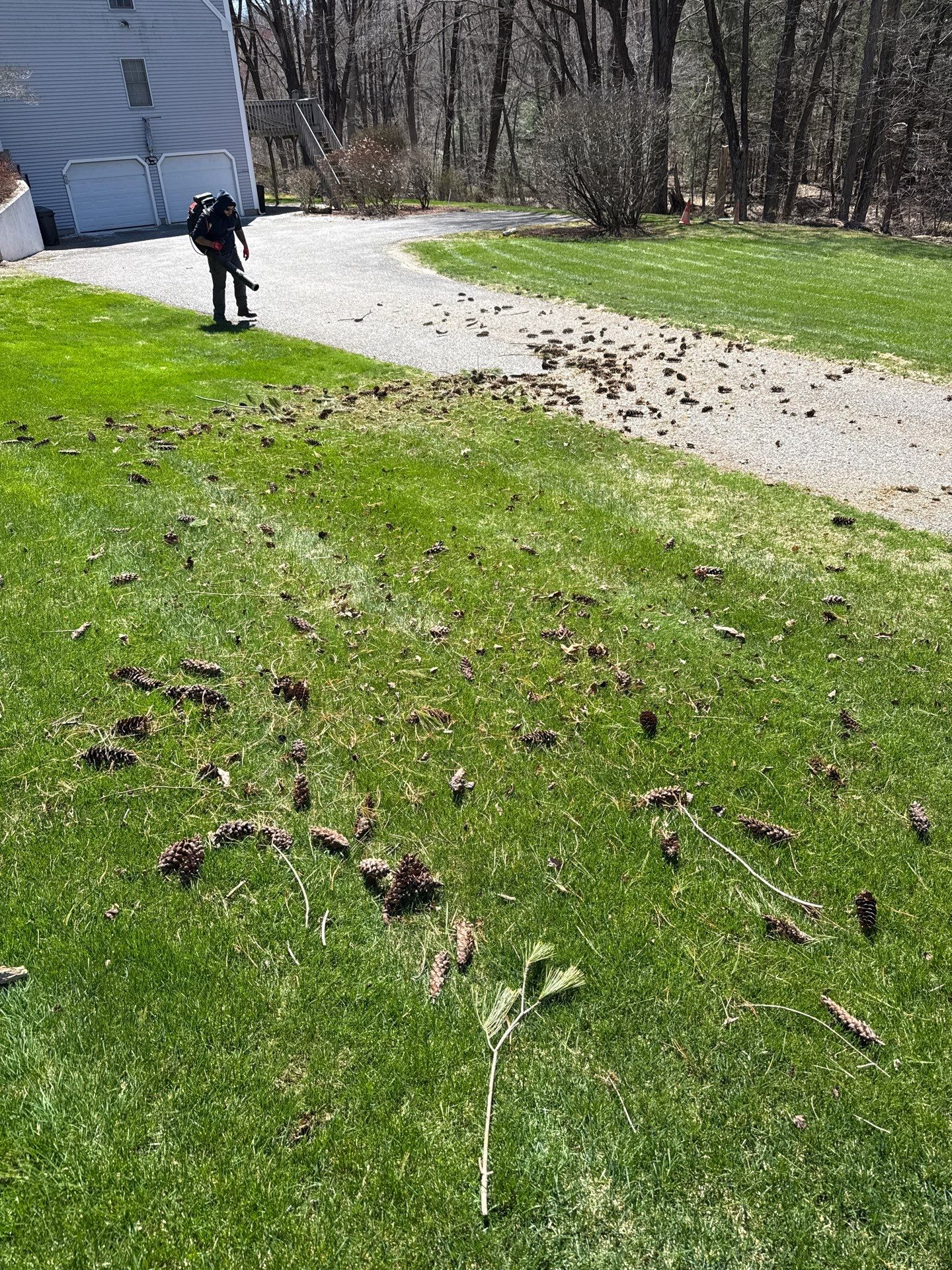 Professional Mowing and Property Cleanup Service in Guilford by Diamond Image LLC