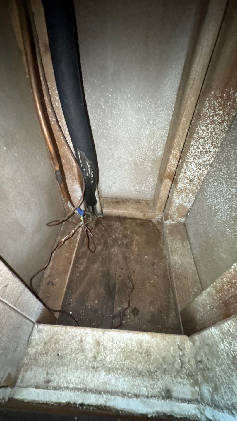 Extremely Dirty Air Duct Cleaning in Fruitland Park by Hygienic Air, Inc