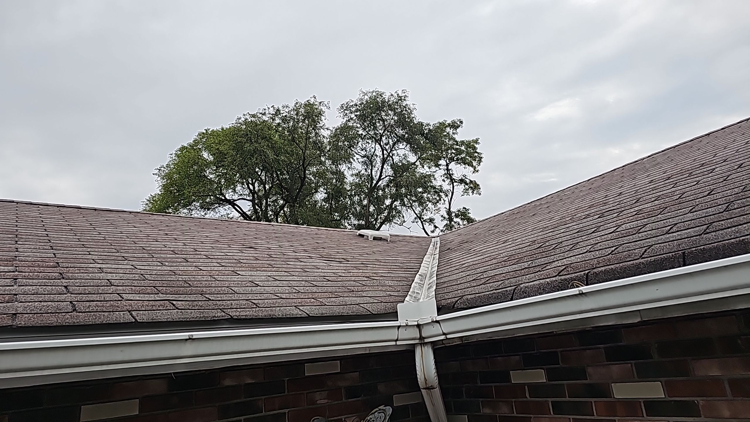 Atlas Pinnacle, Color, Black Shadow, Drip Edge, Color, Black by Eagle Eye Roofing