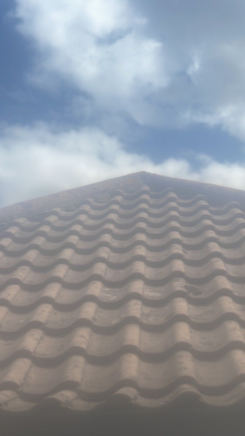 Roof Clean - Biocide Treatment using Honda 15lpm Low Pressure Washing Machine by Ges Exterior Cleaning ltd