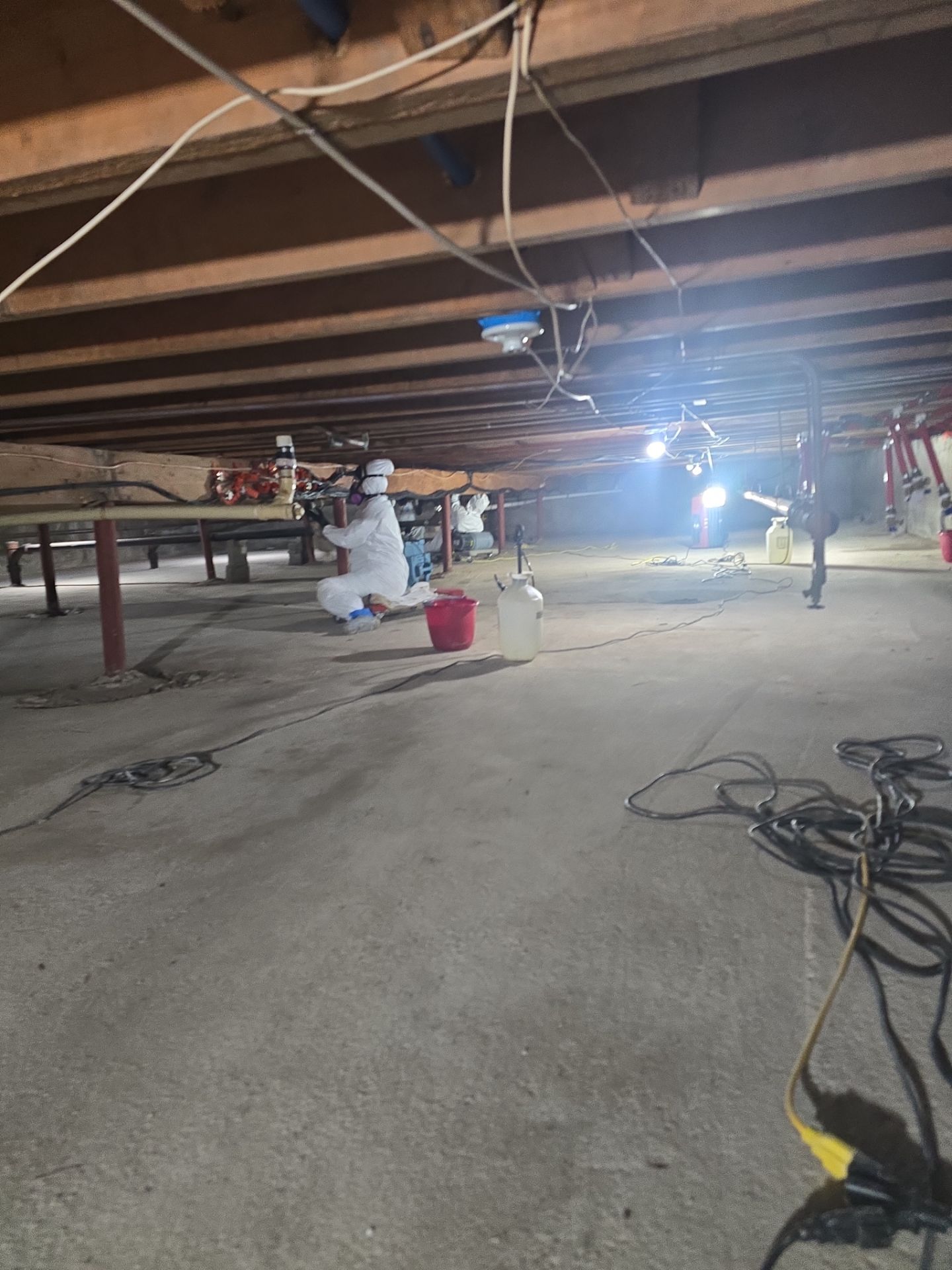 Crawlspace Water Mitigation and Structural Mold Remediation in Port Jefferson by EMS Restoration Corp