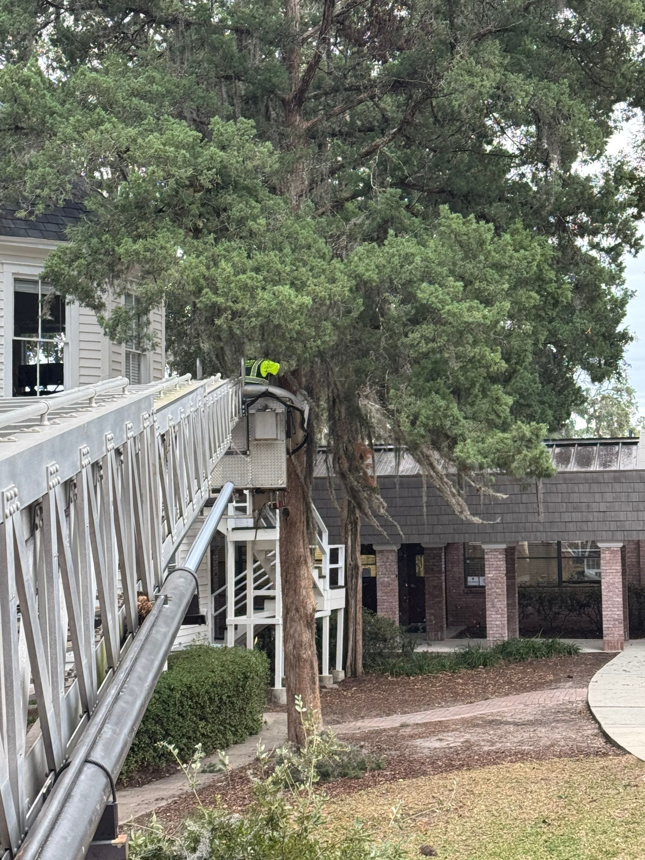 Volunteer Work | Episcopal High School of Jacksonville by ProGreen Services