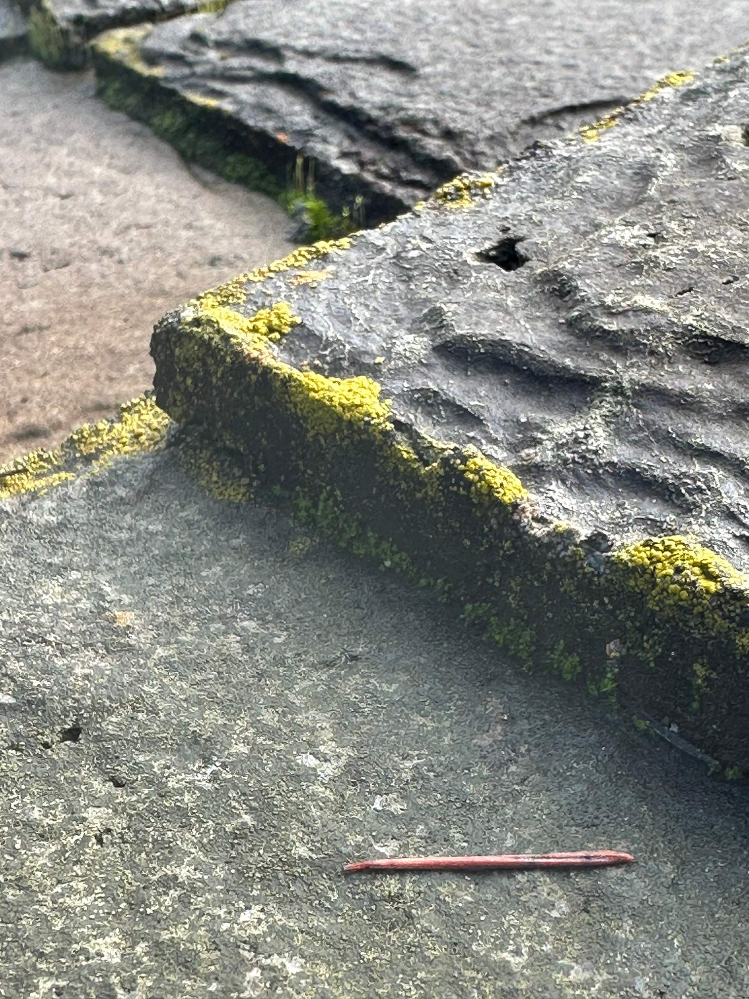 Orange County Gutter Cleaning in Wet Conditions by Property Cleaning Experts