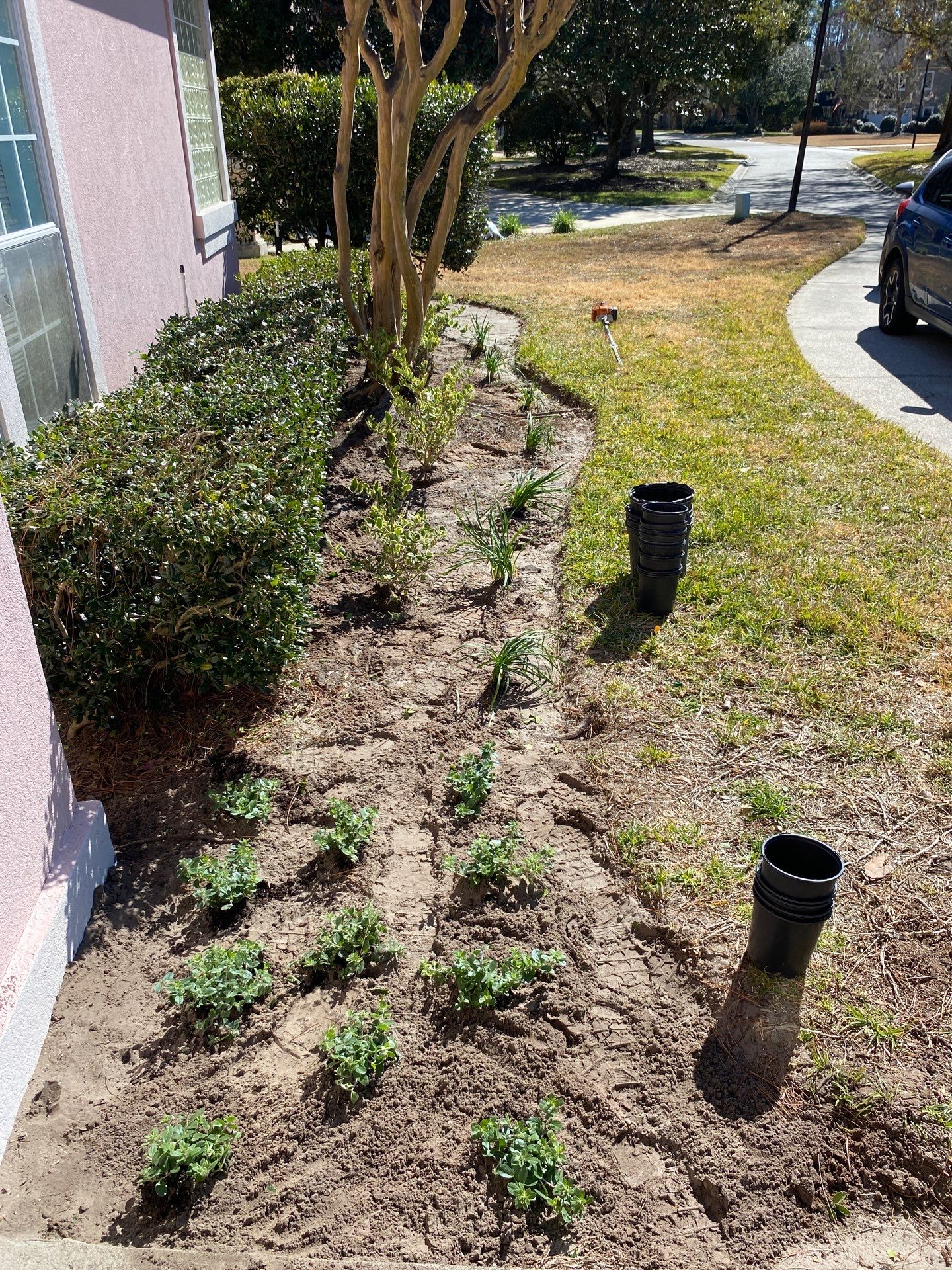 Deerwood Resident | Tree Removal & Clean-Up by ProGreen Services